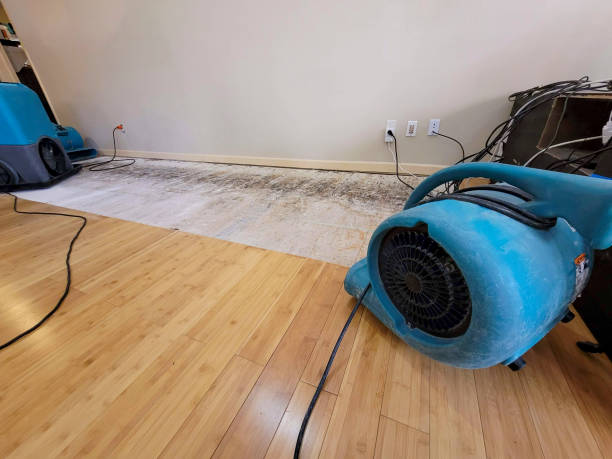 Professional Water Damage Repair technician working in Milford Square, PA